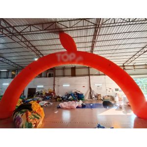 Factory Custom Digital Printing Inflatable Advertising Signs Color Inflatable