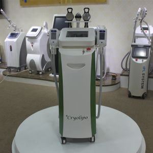 Best sales cryolipolysis machine 2015 with anti-freezing membrane