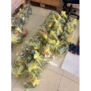 Rexroth A10VSO71 Hydraulic Pump Variable Axial Piston 350 Bar