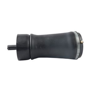 Endurable L322 Rear Air Suspension Spring RKB000151 RKB500082