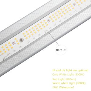 Waterproof 1200W 1000W LED Grow Lights Bar Dimmable Customized Spectrum