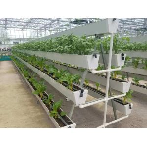 Seeding/Vegetables/Fruit/Flower Controlled Environment Hydroponic Seedling