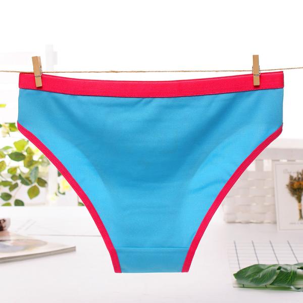 Low end market Chinese blue rose women's underwear