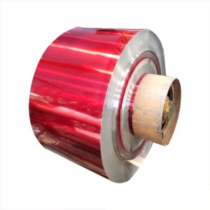 China Colored Stainless Steel Strip Coil on sale