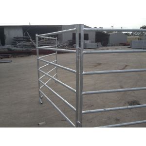 Australia standard galvanized cattle panel fence Cattle Crush,Cattle Chute