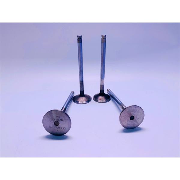 Buy 65.04101-0050 Engine Intake And Exhaust Valves , DOOSAN DE12 Engine Piston Valve at wholesale prices