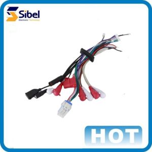 OEM auto customized automotive Wire Harness Automobile Cable Assembly Wiring