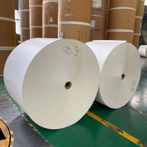 Stiffness 1.8 PE Coated Paper Rolls