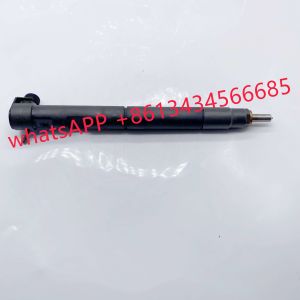 28229873 33800-4A710 40090300076A Common Rail Injector For Kia Bongo Hyundai