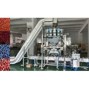 SUS304 Multihead Weigher Auto Weighing And Packaging System For Cherry Frozen