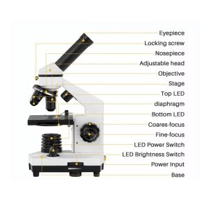 Monocular Drawtube Student Biological Microscope 640X ODM