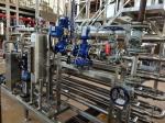 10T/H 440V Mango Puree Processing Line Flexible Operation Support