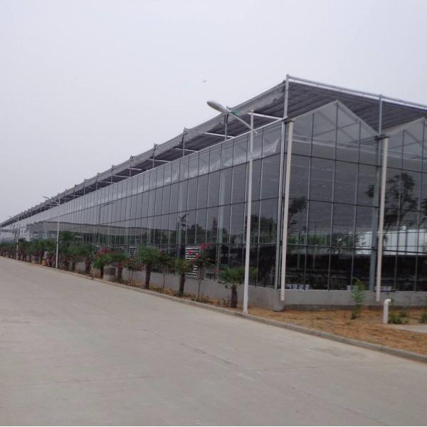 Hanging Load 0.15KN/M2 6.0m Commercial Glass Greenhouse