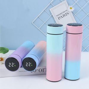 Temperature Display Thermos Digital Smart Water Bottle 500ML