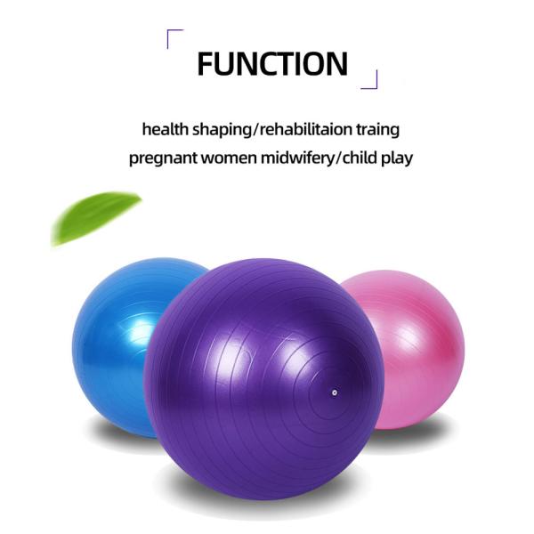 High Flexibility Pilates 65cm Stability Ball Heavy Duty For Gym