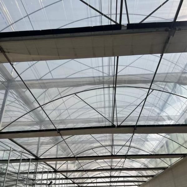 Multi-Span PE/Po Plastic Film Agricultural Greenhouse with Hydroponics System