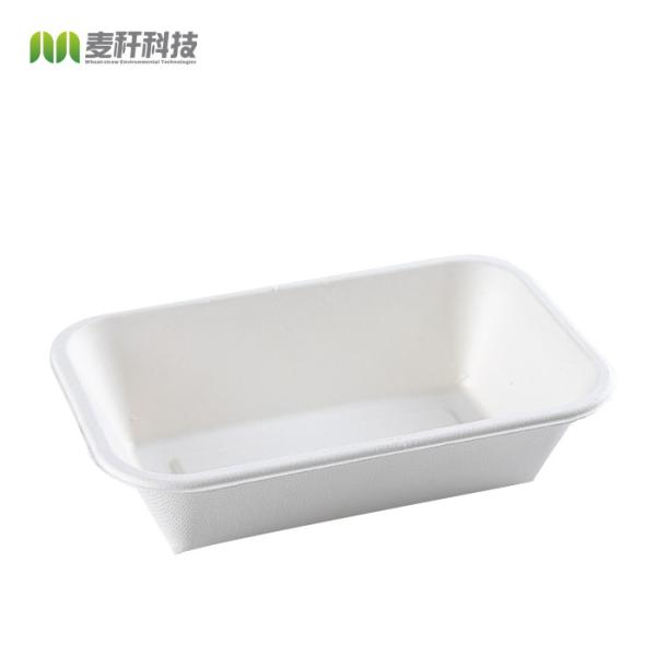32oz Disposable Sugarcane Snack Sushi Serving Tray Plate Dish Bagasse Tray