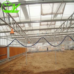 Our Top-Notch Polycarbonate Greenhouse Single Layer 30-100m Length