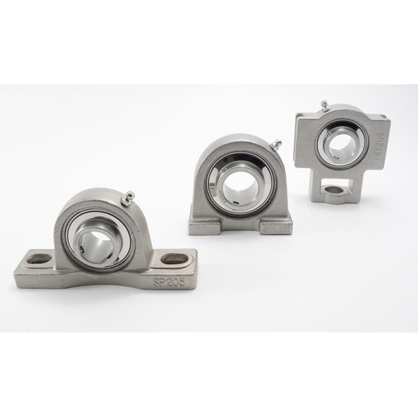 2 Holes Flange Mounted Pillow Block Bearings Stainless Steel Heavy Duty Non Expansion SUCPX05 SUCPX06