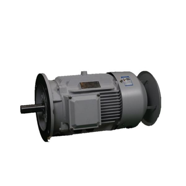 IP55 LV AC Asynchronous Motor YE3 225M-2 45KW 380V 50Hz