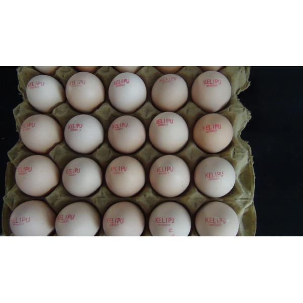 Egg Expiration Date Stamp Machine With Various Colors Food Grade Ink To Choose