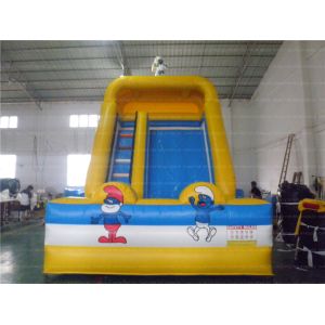 Custom Mini Inflatable Slide (CYSL-29)