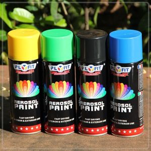 Matt Thermoplastic LPG 450ML Acrylic Aerosol Spray Paint