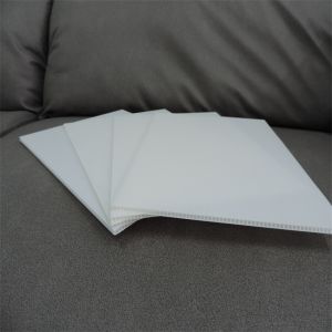 48x96" PP Corrugated Plastic Sheets Water Proof Customized Color 1220 X 2440mm