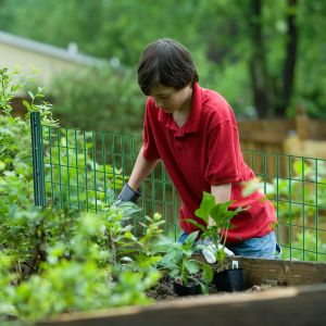 Heavy Duty T-Post for Ranch with Customizable Color High Quality Rail Steel Easy