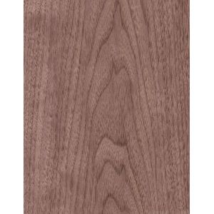 America Black Walnut Natural Wood Veneer Straight Sliced For Fancy Panel