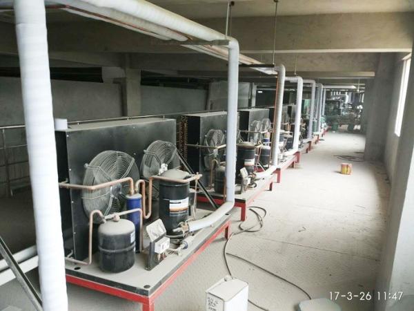 Buy 380V / 50Hz Copeland Scroll Outdoor Condensing Unit 6HP For Medicine Cold Room at wholesale prices