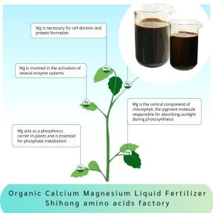 High Nutrient Organic Calcium Magnesium Amino Acid Chelate Fertilizer