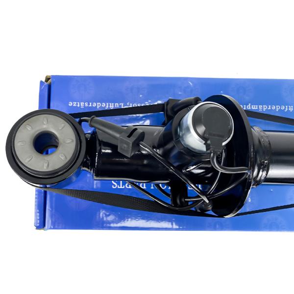 Ford Lincoln Shock Absorber Rear Left Right for Smooth Driving Experience