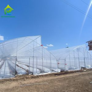 Single-Span Sawtooth Design Tropical Plastic Film Greenhouse Tunnel Customized