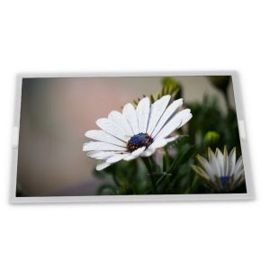 LSL080AL02-Y01 8inch TFT LCD Display Modules orginal highly adaptive Rectangular screen in stock Quality supplier good price