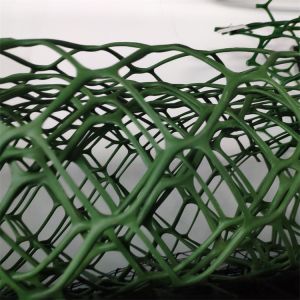 Roadbed and Tunnel Engineering Green HDPE Geonet with Anti-Ultraviolet