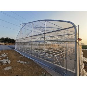 200micron Single Span Greenhouse Agricultural Tropical Climate Greenhouse