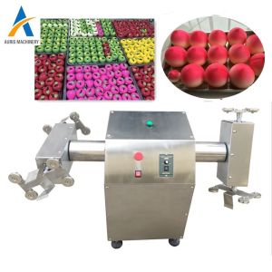 Snack Hollow Chocolate Making Machine