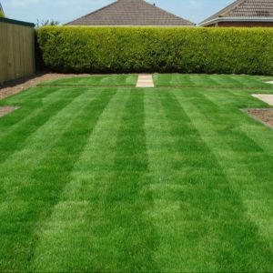 China 35mm Synthetic Artificial Grass , Anti UV Garden Turf Grass For Yard on sale