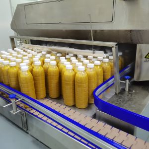 Juice And Puree Processing Machine For Pineapple Processing Line