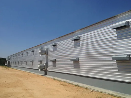 Prefabricated Steel Structure Thermostatic Hot DIP Galvanized Steel Poultry