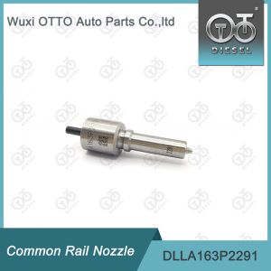 DLLA163P2291 Common Rail Nozzle For Injector 0445110476/477 0986435241