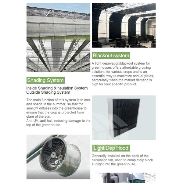 Mushroom Light Deprivation Greenhouse With Hot Dip Galvanized Steel Pipe