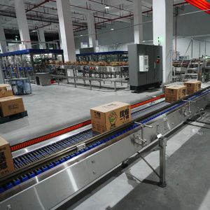 High Quality Automatic Single Channel Gantry Palletizer Loading Crate Machine
