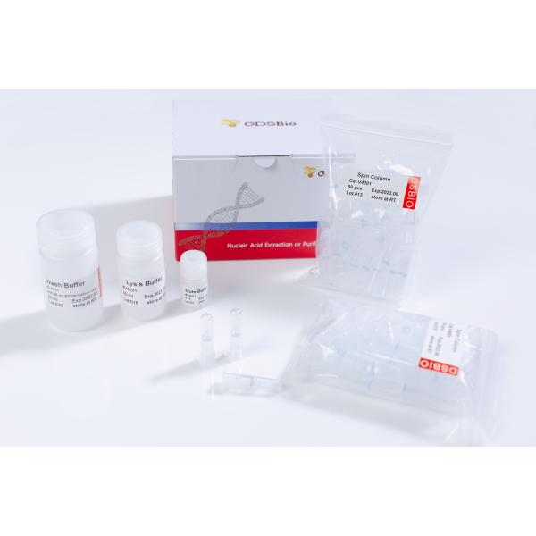 Spin Column Viral Nucleic Acid Extraction Kit DNA RNA Swab Saliva