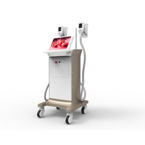 Quality cryolipolysis fat freeze cryolipolysis slimming machine nubway-Forimi FM1 with 2 handles working at same time for sale