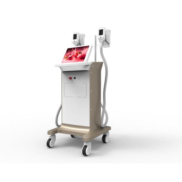cryolipolysis fat freeze cryolipolysis slimming machine nubway-Forimi FM1 with 2