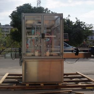 China Accurate and Precise Filling DUOQI YT2T-2G Processing Line 2 Filling Nozzles 220V on sale