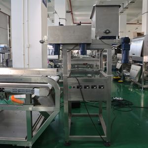 Customized AI Sorting Machine For Precise Product Sorting To Improve Production