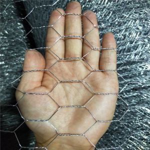 Quality Hot Dipped Galvanized Hexagonal Wire Netting Chickenwire for sale